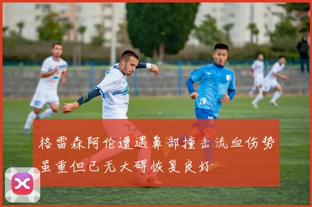 格雷森阿伦遭遇鼻部撞击流血伤势虽重但已无大碍恢复良好