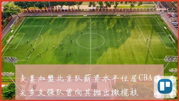 麦基加盟北京队薪资水平位居CBA顶尖多支强队曾向其抛出橄榄枝