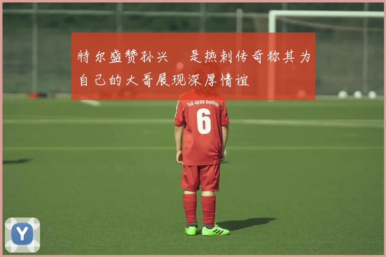 特尔盛赞孙兴慜是热刺传奇称其为自己的大哥展现深厚情谊